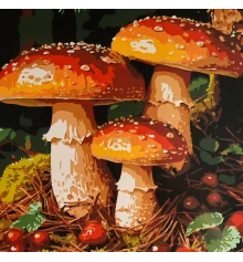 Картина по номерам Грибная лужайка 30х30 (ES-0931) купить в интернет магазине подарков ПраздникШоп