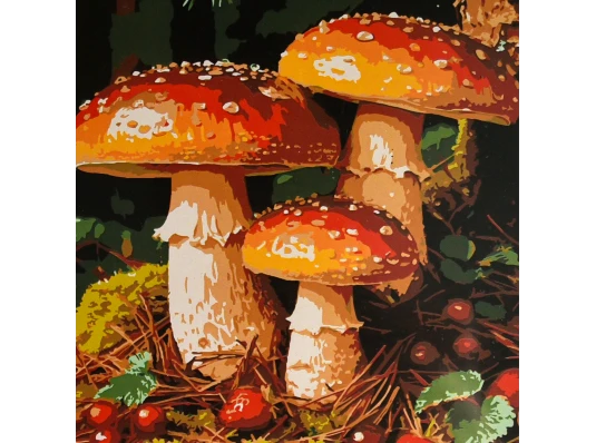 Картина по номерам Грибная лужайка 30х30 (ES-0931) купить в интернет магазине подарков ПраздникШоп