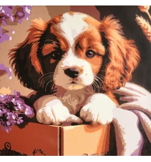 Картина по номерам Пушистый малыш 30х30 (ES-0933) купить в интернет магазине подарков ПраздникШоп