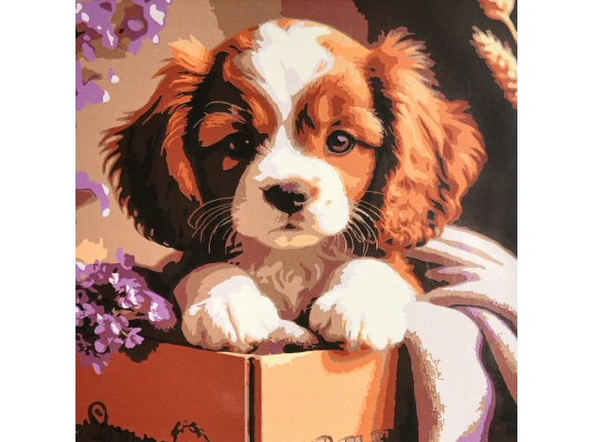 Картина по номерам Пушистый малыш 30х30 (ES-0933) купить в интернет магазине подарков ПраздникШоп