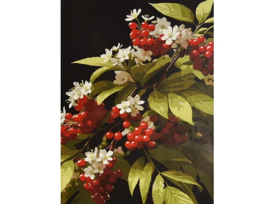 Картина по номерам Калиновая ветвь 30х40 (SS-1325) купить в интернет магазине подарков ПраздникШоп