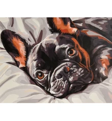 Картина по номерам Сонный бульдог 30х40 (SS-1329) купить в интернет магазине подарков ПраздникШоп