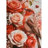 Картина по номерам Птичка среди роз 30х40 (SS-1349)