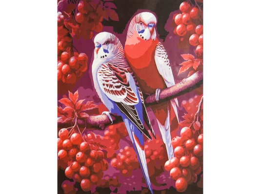 Картина по номерам Дуэт в ягодном саду 30х40 (SS-1352) купить в интернет магазине подарков ПраздникШоп