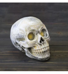 Череп светильник настольный S 13781 (бежевый) купить в интернет магазине подарков ПраздникШоп