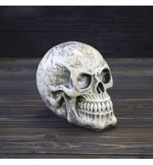 Череп копилка маленький 13784 (бежевый) купить в интернет магазине подарков ПраздникШоп