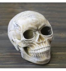 Череп копилка M 13779 (бежевый) купить в интернет магазине подарков ПраздникШоп