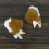 Ушки Кошки аниме (рыжие с белым) купить в интернет магазине подарков ПраздникШоп