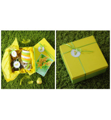 Подарочный набор «Мимоза» купить в интернет магазине подарков ПраздникШоп