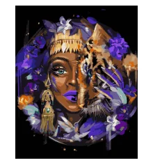 Картина по номерам SANTI Африканская красота метал. краски ©maryzueva_art  40*50 см купить в интернет магазине подарков ПраздникШоп
