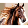 Картина по номерам Лошадь на ветру 40х50 (VG040)