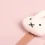 Дневник школьный Yes Miffy Beige А5 40 листов твердый купить в интернет магазине подарков ПраздникШоп