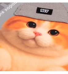 Дневник школьный Yes Chunky Cat А5 40 листов твердый купить в интернет магазине подарков ПраздникШоп