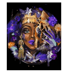 Картина по номерам SANTI Африканская красота метал. краски ©maryzueva_art  40*50 см купить в интернет магазине подарков ПраздникШоп