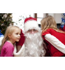 	Дед мороз поздравление дома Днепропетровск купить в интернет магазине подарков ПраздникШоп