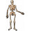 Банер Halloween Скелет 1,4м купить в интернет магазине подарков ПраздникШоп