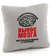 Подушка «Винесення мозку», 4 кольори купить в интернет магазине подарков ПраздникШоп