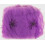 Паутина фиолетовая с пауками купить в интернет магазине подарков ПраздникШоп
