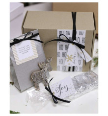 Подарочный набор " Серебро" купить в интернет магазине подарков ПраздникШоп