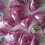 Фольгированные сердца с гелием  18"/45 см, 7 цветов купить в интернет магазине подарков ПраздникШоп