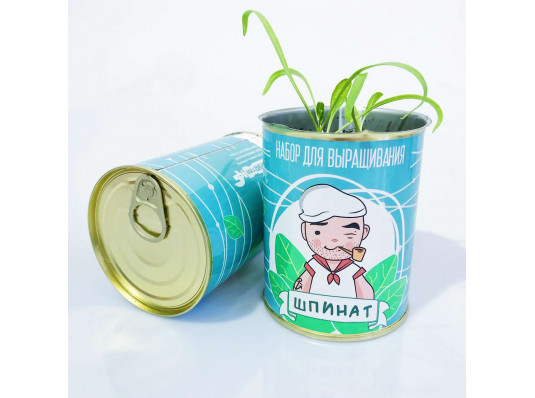Растение "Шпинат" купить в интернет магазине подарков ПраздникШоп