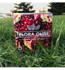Экокуб "Flora Cube",  гранат купить в интернет магазине подарков ПраздникШоп