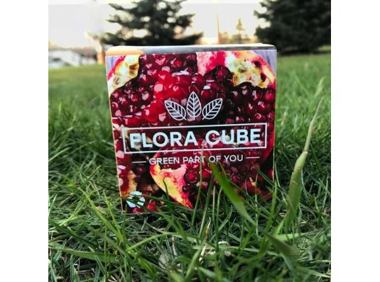 Экокуб "Flora Cube",  гранат купить в интернет магазине подарков ПраздникШоп