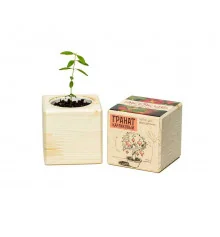 Экокуб "Flora Cube",  гранат купить в интернет магазине подарков ПраздникШоп