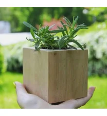 Экокуб "Flora Cube", лаванда купить в интернет магазине подарков ПраздникШоп