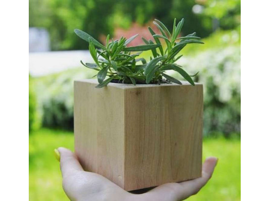 Екокуб "Flora Cube", лаванда купить в интернет магазине подарков ПраздникШоп