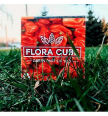 Экокуб "Flora Cube", перец хабанеро купить в интернет магазине подарков ПраздникШоп