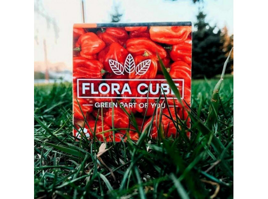 Экокуб "Flora Cube", перец хабанеро купить в интернет магазине подарков ПраздникШоп