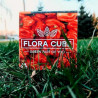 Экокуб "Flora Cube", перец хабанеро