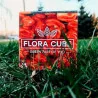 Екокуб "Flora Cube", хабанеро