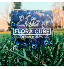 Екокуб "Flora Cube", фіалка купить в интернет магазине подарков ПраздникШоп