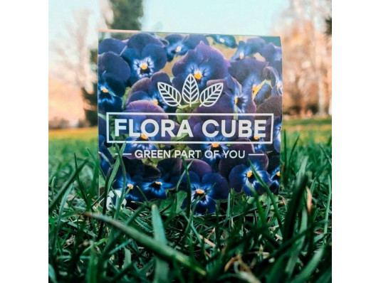 Экокуб "Flora Cube", фиалка купить в интернет магазине подарков ПраздникШоп