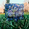 Экокуб "Flora Cube", фиалка