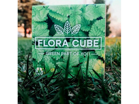 Екокуб "Flora Cube", меліса купить в интернет магазине подарков ПраздникШоп