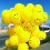 Кулька з гелієм "Смайлик" 35 см. купить в интернет магазине подарков ПраздникШоп