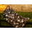 Плед с рукавами из микрофибры "Котики", бежевый купить в интернет магазине подарков ПраздникШоп