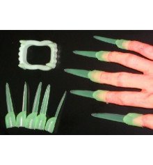  Зубы + когти светонакопительные купить в интернет магазине подарков ПраздникШоп