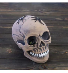 Череп копилка с пауками М 10603 (серый) купить в интернет магазине подарков ПраздникШоп