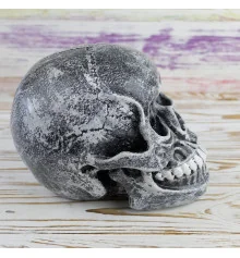 Череп копилка Мистик M 13295 (серый) купить в интернет магазине подарков ПраздникШоп