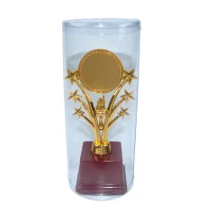 Статуэтка 570921 Кращий класний керівник Звездный салют купить в интернет магазине подарков ПраздникШоп