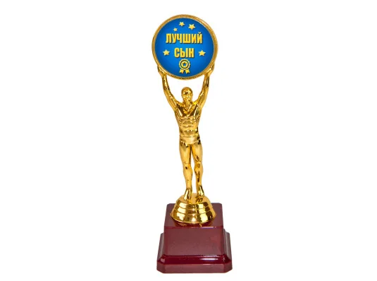 Статуэтка 57270 Человек года Лучший сын купить в интернет магазине подарков ПраздникШоп
