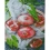Алмазная мозаика ПРЕМИУМ Гранатовый вкус размером 40х50 см (D0011) купить в интернет магазине подарков ПраздникШоп
