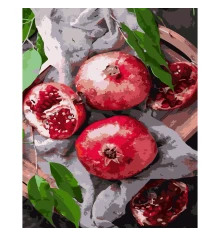 Картина по номерам ПРЕМИУМ Гранатовый вкус с лаком 40х50 см (SY6730) купить в интернет магазине подарков ПраздникШоп