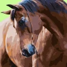 Картина по номерам ПРЕМИУМ Гордый конь размером 40х40 см (SK026)