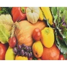Алмазная мозаика ПРЕМИУМ Мир вкусов размером 30х40 см (HEG87052)