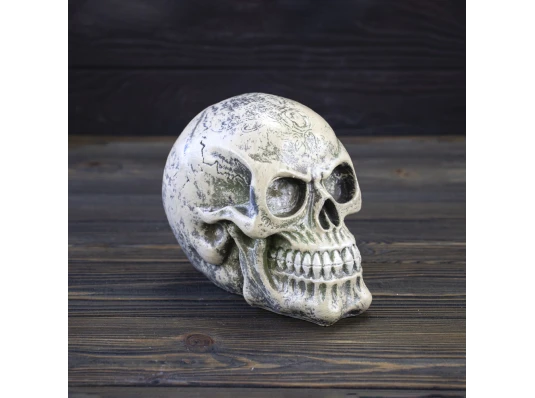 Череп копилка маленький 13784 (бежевый) купить в интернет магазине подарков ПраздникШоп